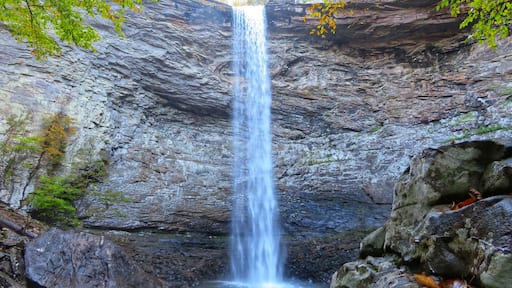 Ozone Falls
#greatoutdoors
#nature