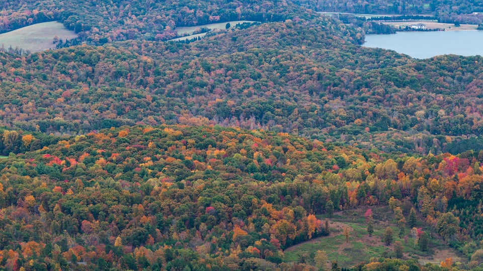 A dense forest with autumn foliage, a lake, and a small house in the foreground.