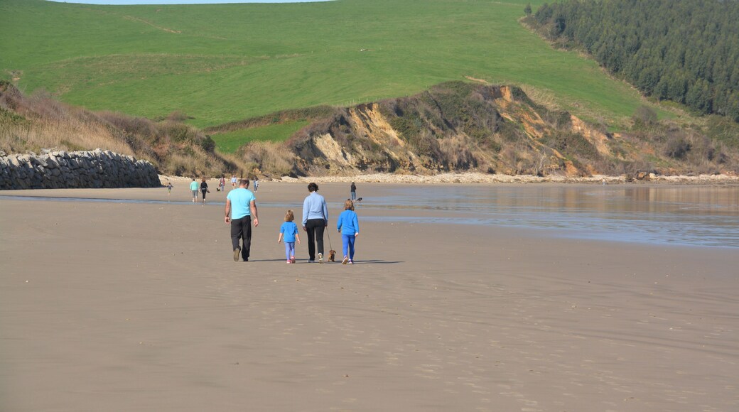 familia caminando por la playa
