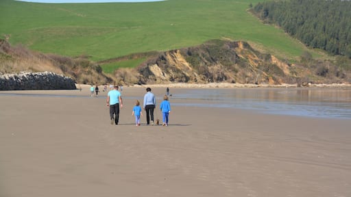 familia caminando por la playa