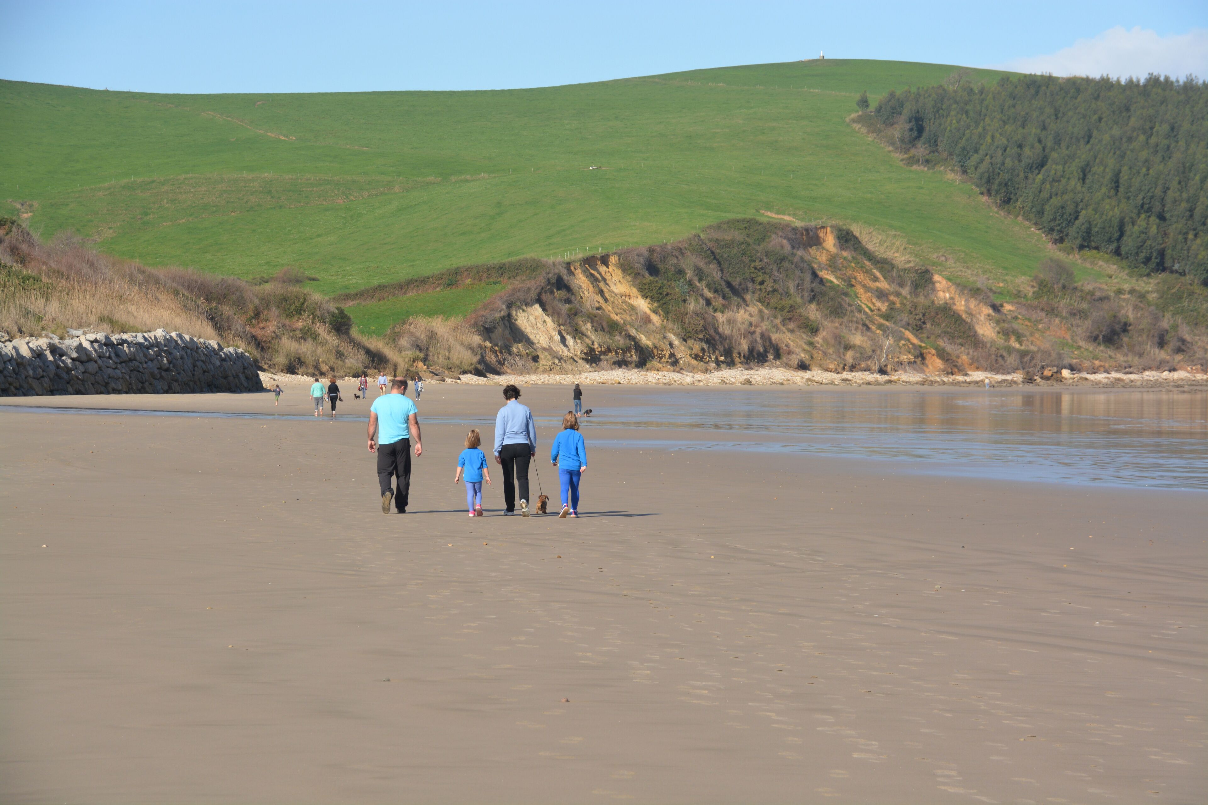 A family walking on a sandy beach with a green hill and forest in the background.