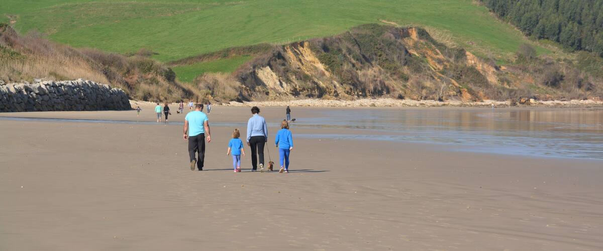 A family walking on a sandy beach with a green hill and forest in the background.