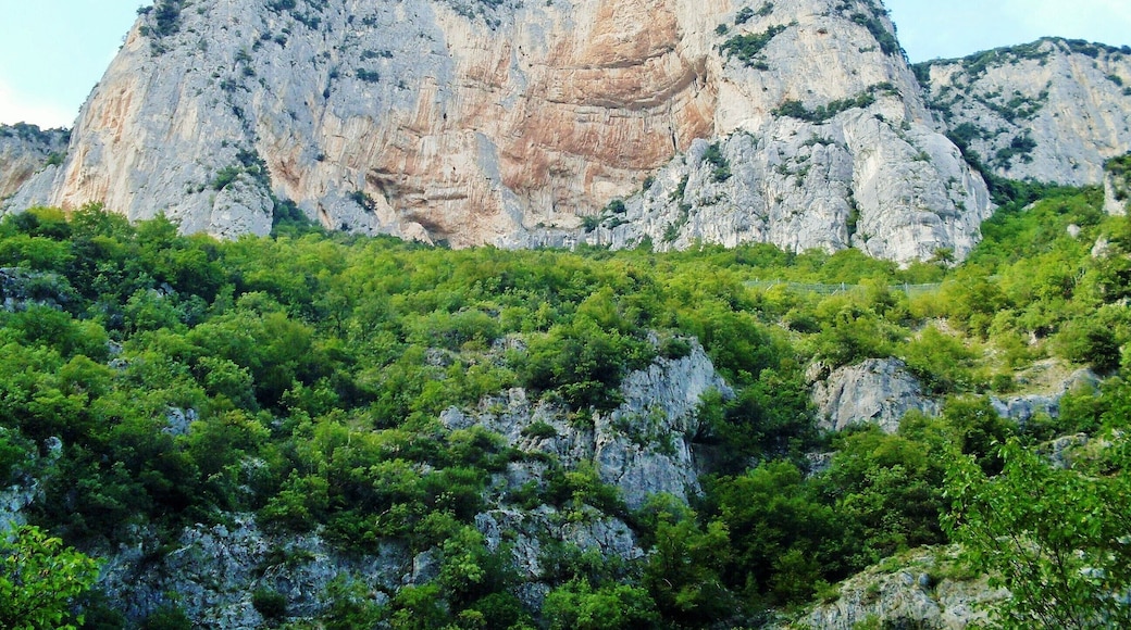 The authorisation for taking photos of this object was provided by the World Wide Fund for Nature Italy.