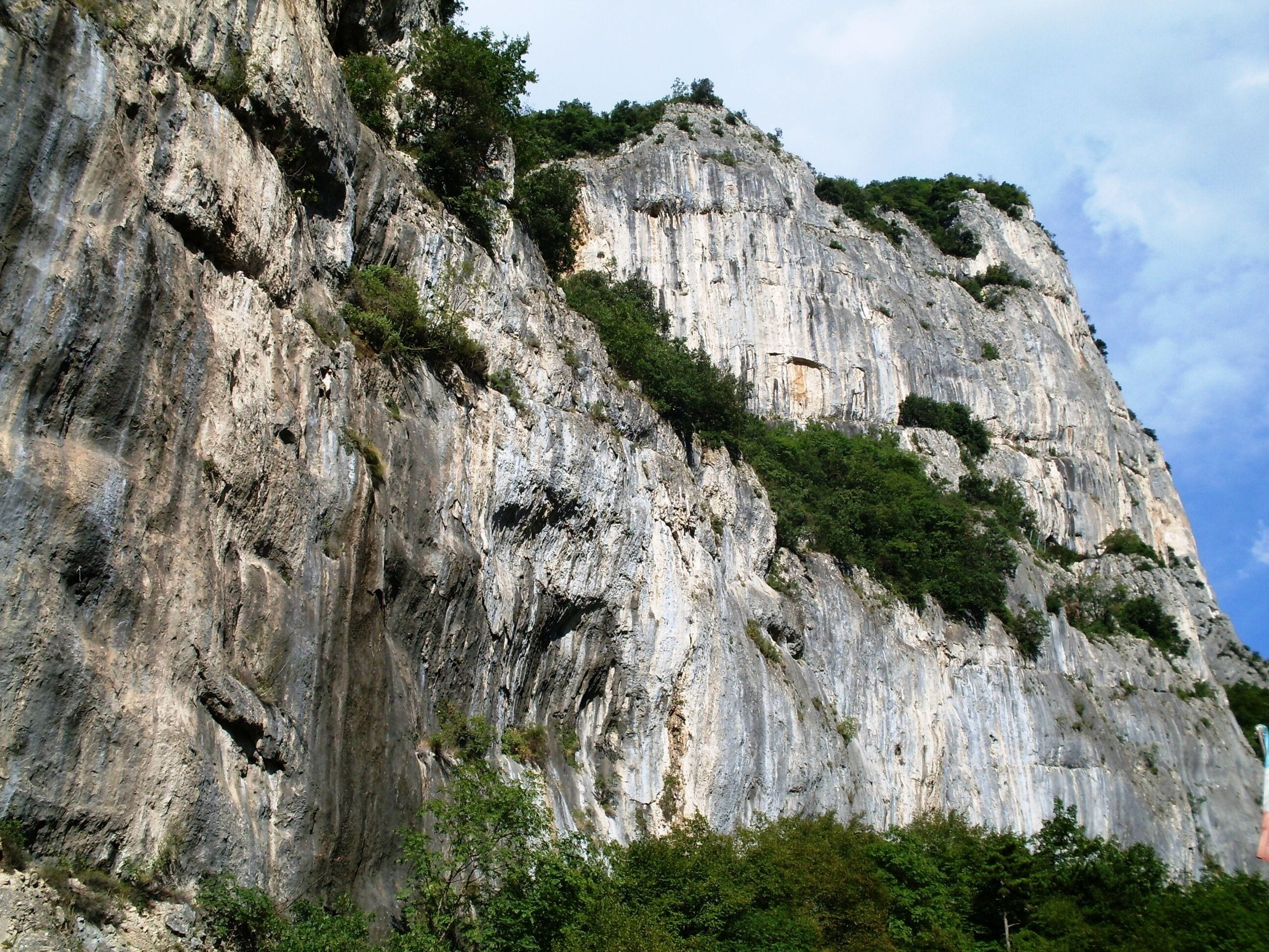 The authorisation for taking photos of this object was provided by the World Wide Fund for Nature Italy.