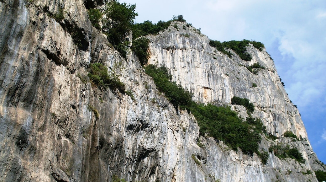 The authorisation for taking photos of this object was provided by the World Wide Fund for Nature Italy.