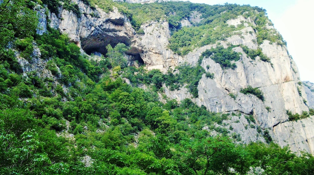 The authorisation for taking photos of this object was provided by the World Wide Fund for Nature Italy.