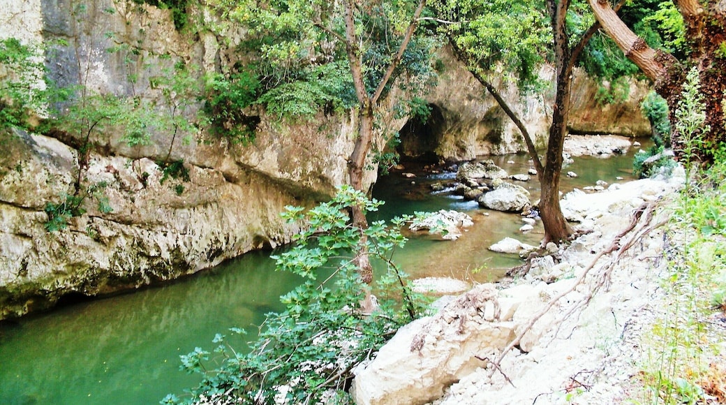 The authorisation for taking photos of this object was provided by the World Wide Fund for Nature Italy.