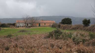 A rustic house with a tiled roof surrounded by dry grass and bushes.