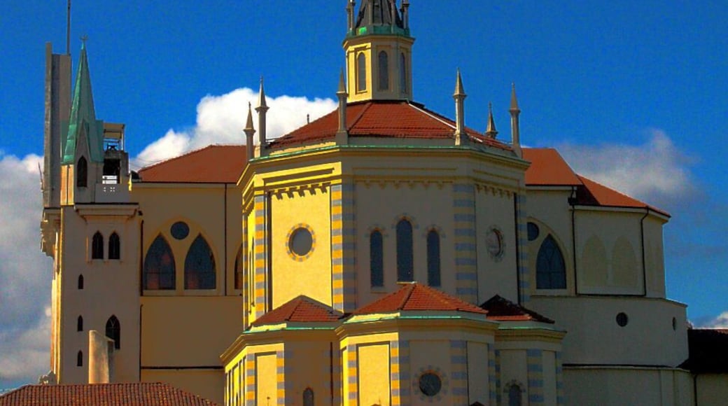 Santuario di San Pancrazio, a Pianezza (TO). Il 12 maggio 1450 a Pianezza al contadino Antonio Casella mentre falciava il prato tagliò inavvertitamente un piede alla moglie, venuta a portargli qualcosa da mangiare. I coniugi, angosciati, pregarono il Signore e furono confortati dall’apparizione di San Pancrazio che promise la pronta guarigione in cambio dell’erezione di un luogo di culto. (se gli promettessero di ivi, ad onor suo," fabbricare un Pilone".) Secondo il martiriologio cristiano Pancrazio fu condannato per la fede cristiana sotto Diocleziano, all'età di 14 anni: per decapitazione, nel 289.