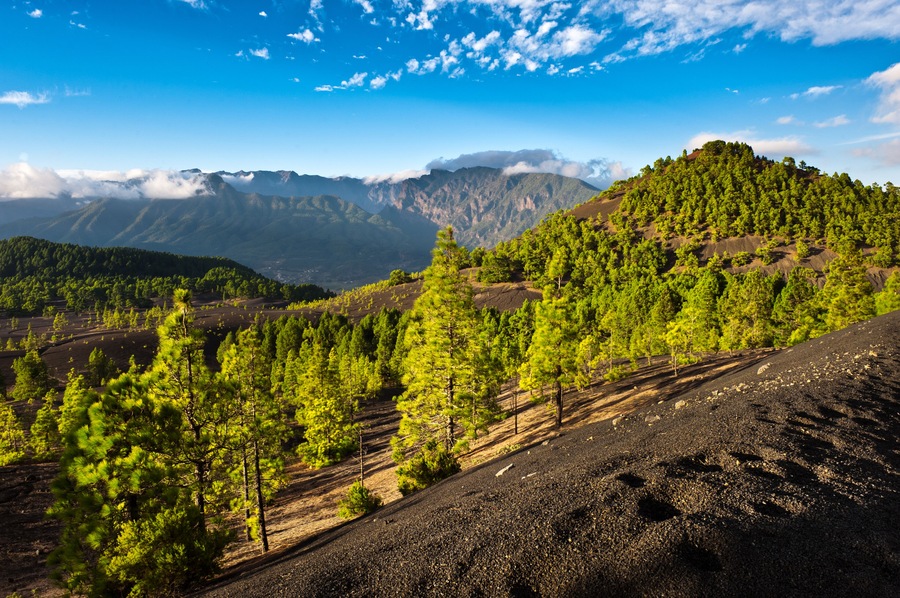Beautiful lava landscape on the Cumbre Nueva in La Palma, Canary islands, Spain