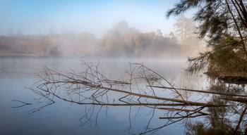 Misty Lake