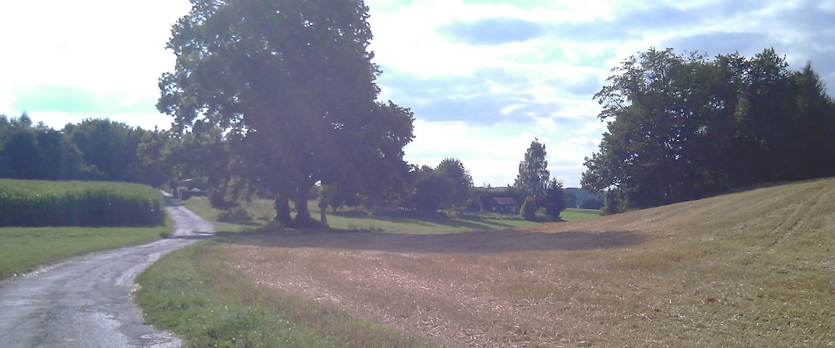 A rural road curving through fields with trees on both sides.