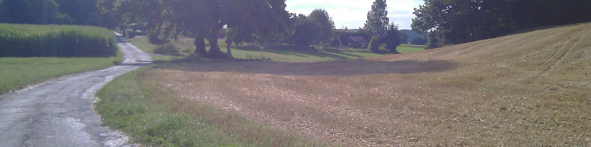A rural road curving through fields with trees on both sides.