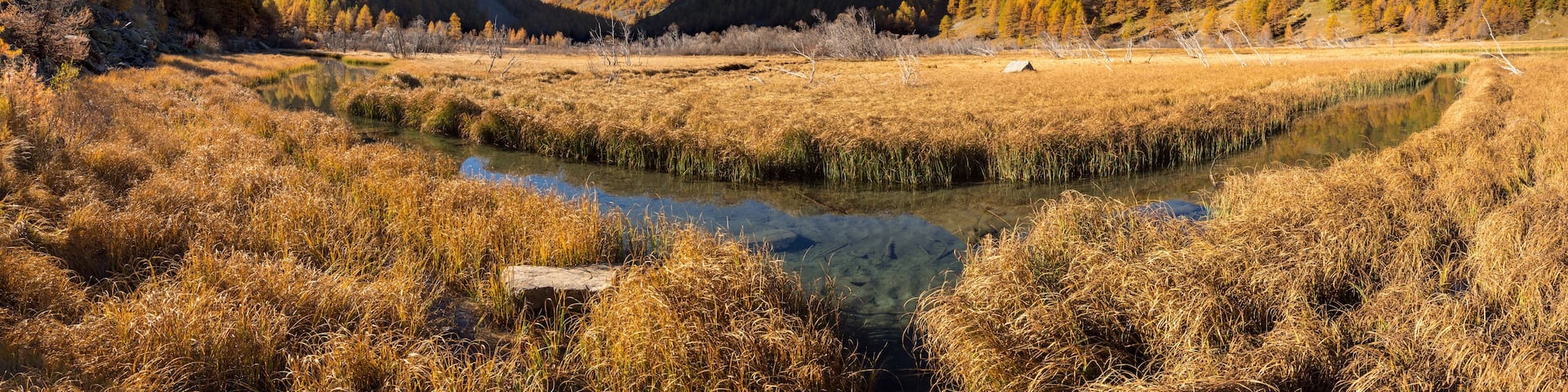 Lac des Sagnes in Autumn with La Tour des Sagnes pyramidal shaped mountain. Mercantour National Park, Ubaye Valley, Jausiers, Alpes de Haute Provence, Alps, France
