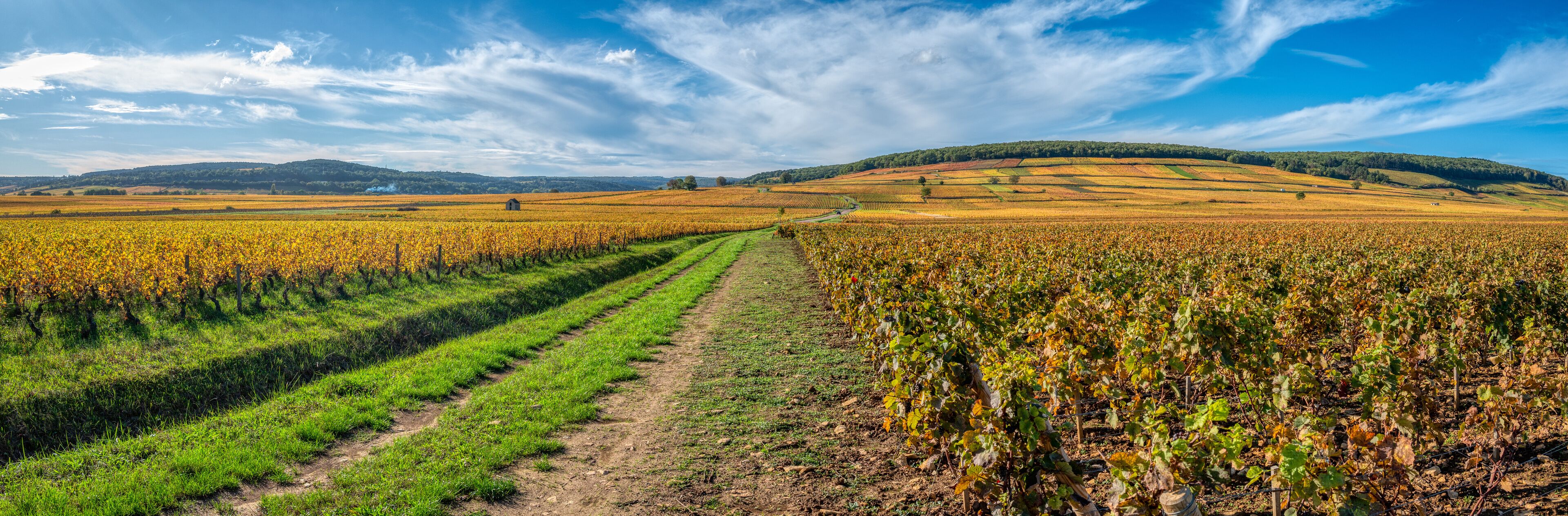 Montagny-lès-Beaune