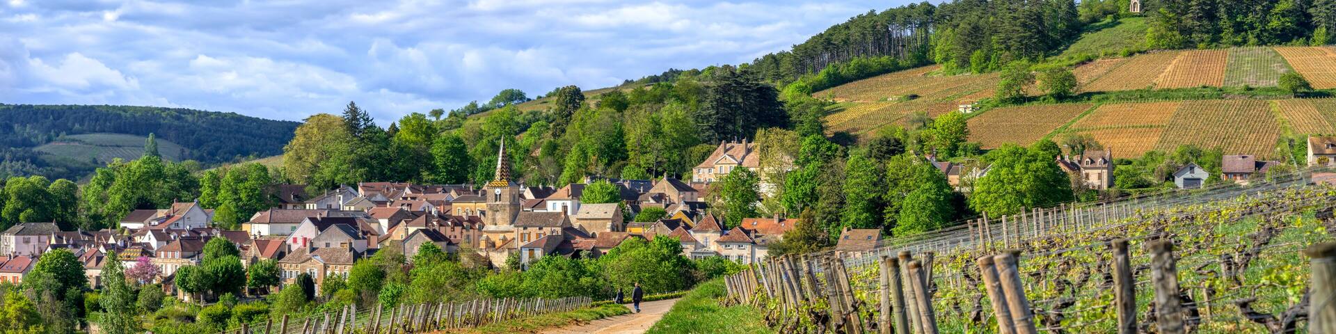 village de Bourgogne au printemps