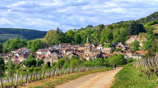 Montagny-lĂšs-Beaune