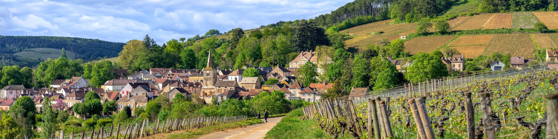 village de Bourgogne au printemps