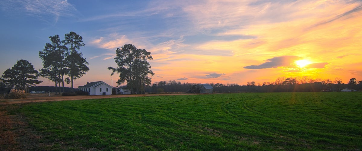 A sunset over a grassy field with trees and a white house.