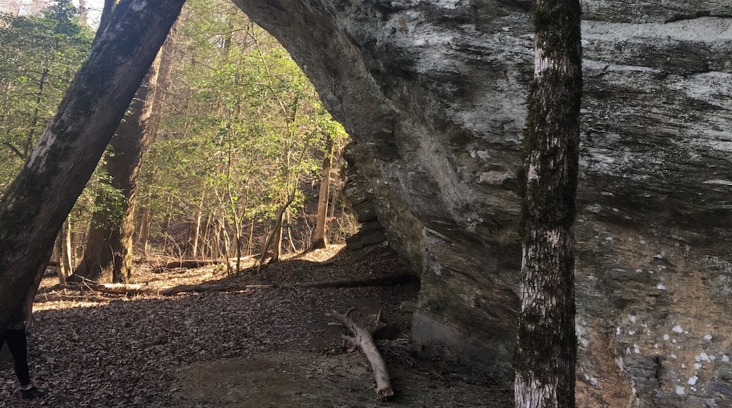 Was really crowded in the parking areas, but you wouldn't know it on the trails. Great place for short day hikes.