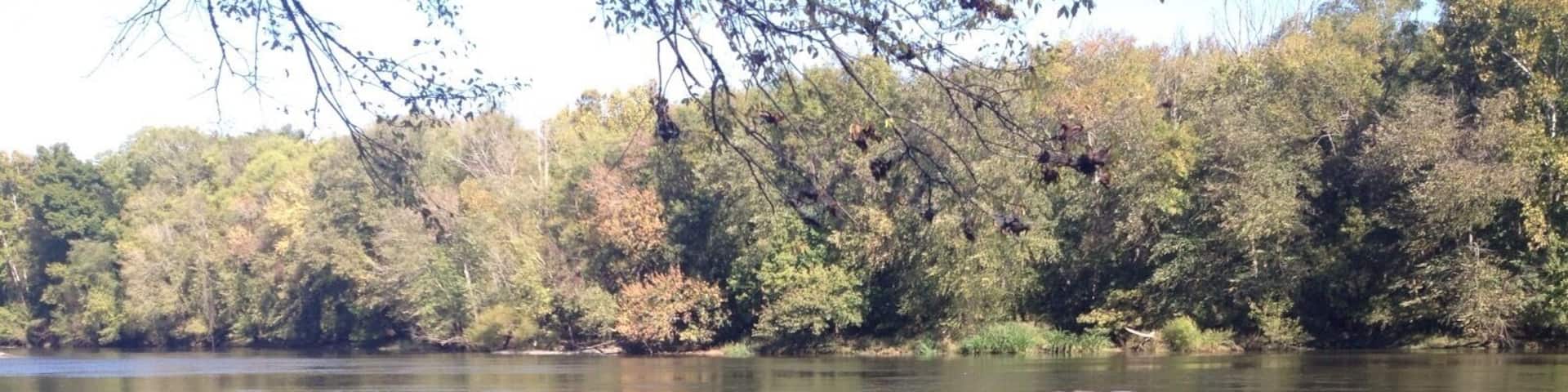 Great place for a hike.