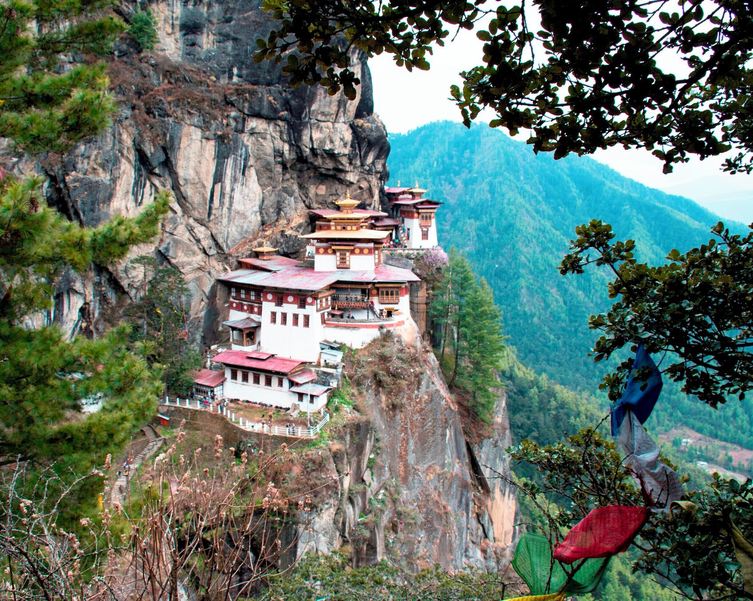 Hiking to the cliff-side Taktsang, or Tiger's Nest, Monastery near Paro, Bhutan. Guru Rinpoche, the 8th century father of Bhutanese Buddhism, flew here on the back of a tigress to subdue a local demon and then meditated in a cave here for three months. That, at least, is according to the traditional beliefs of Bhutan's version of Tibetan Buddhism. Apparently, images of the Tiger's Nest are more familiar outside the country than the name of Bhutan itself.