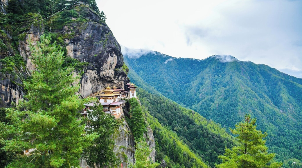 Well worth the 3,000 foot hike up from the valley floor to the Tiger's Nest in Bhutan.
Contact me today to start planning your journey East to Bhutan.
travel@destinationeuropeonline.com