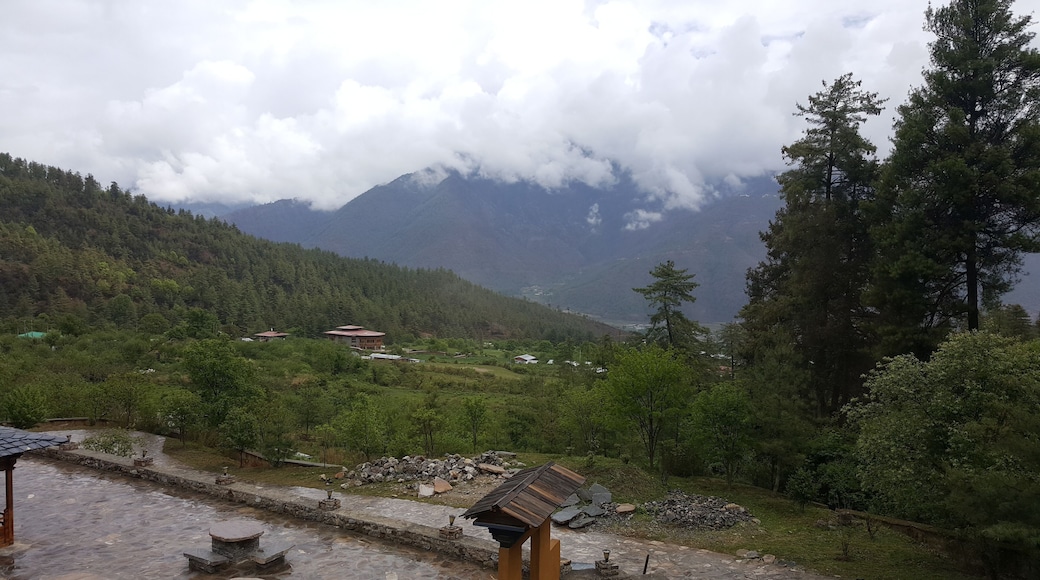 the view of the beautiful Himalayan mountains from my Hotel room.
