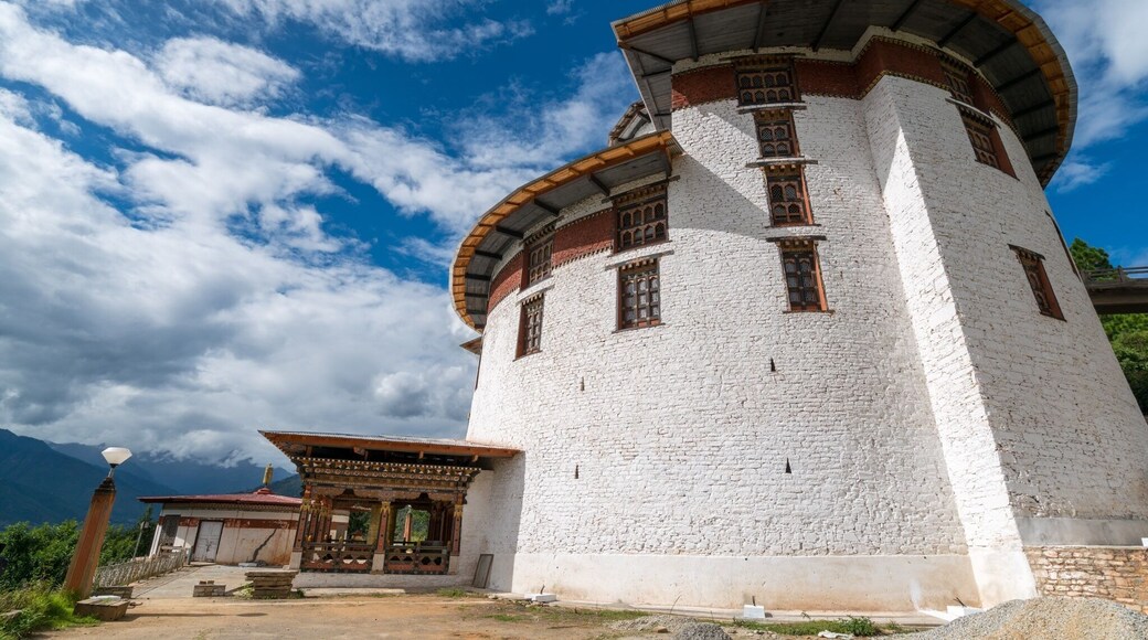 Tower in Paro, Bhutan.
#BVSBlue