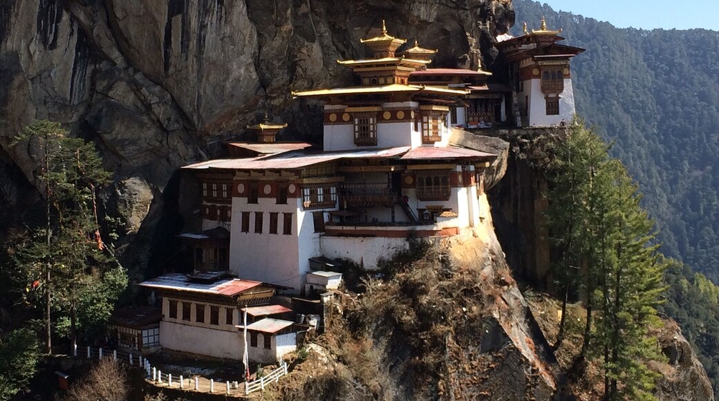 Paro Taktsang or popularly known as "Tiger's Nest" is a prominent Himalayan Buddhist sacred site and temple complex, located in the cliffside of the upper Paro valley, in Bhutan. A temple complex was first built in 1692, around the Taktsang Senge Samdup (stag tshang seng ge bsam grub) cave where Guru Padmasambhava is said to have meditated for three years, three months, three weeks, three days and three hours in the 8th century. It can be accessed by a mere 3hr uphill hike or can have an alternate option of a pony ride up. The Monastery is closed bet 1-2pm for the Monk's observed lunch. The view of the monastery changes constantly depending on which part of the trek you are at. #architecture