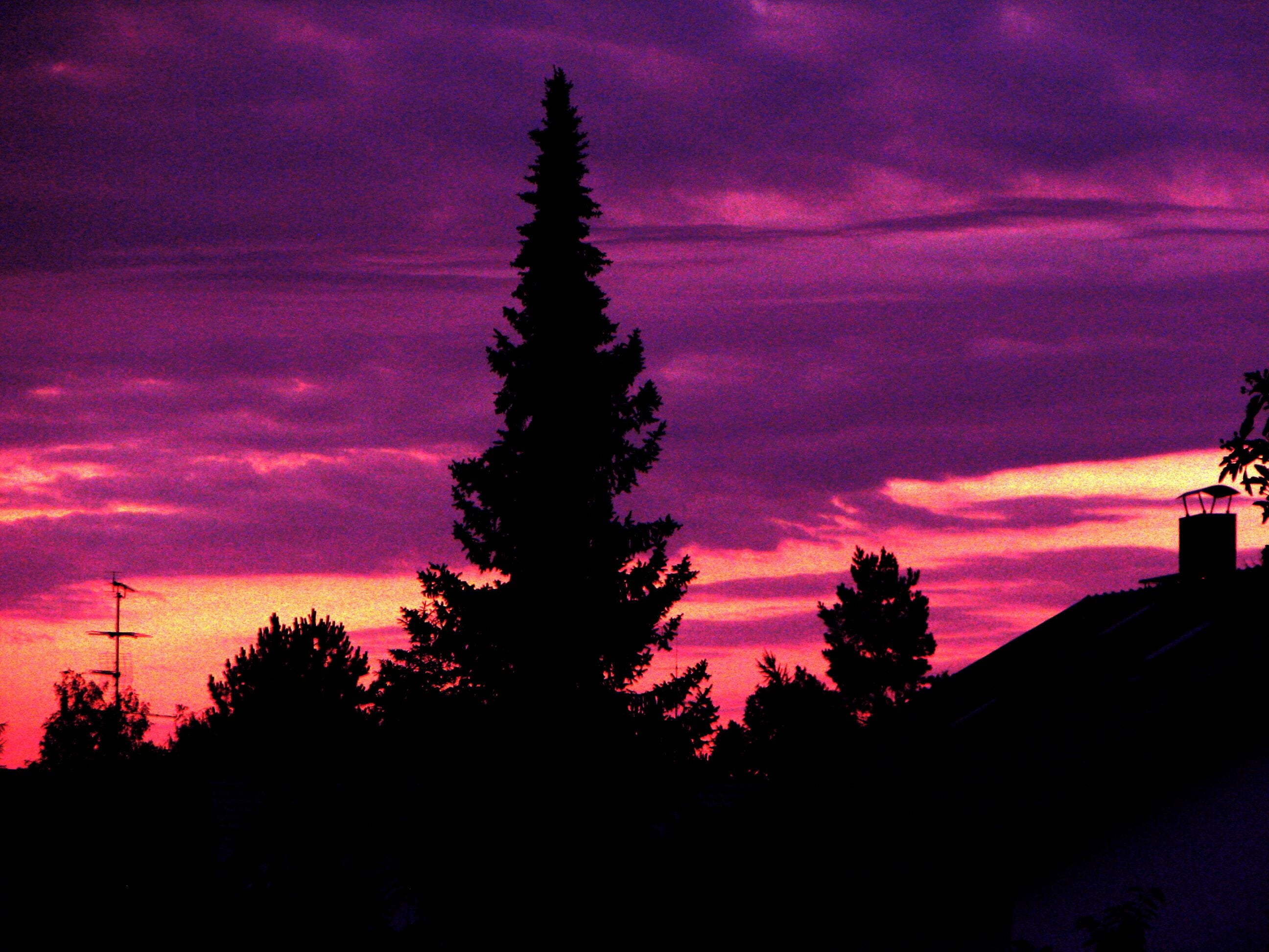 Sunrising in Haar, Munchen, Germany, 2011 Summer