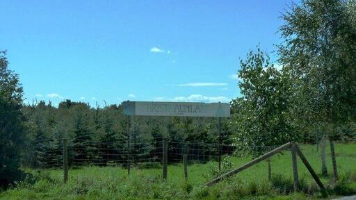 Christbaum-"Anbau" bei Ottendichl