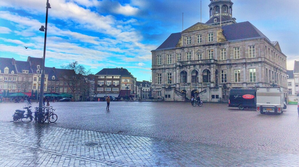 Market Square, Maastricht, The Netherlands
JUST FOLLOW THE PIN TO GET THERE 📌
⬇️⬇️ Make my day and follow me also at: ⬇️⬇️
https://www.instagram.com/mistermirrorless/
https://www.facebook.com/dennisdondersphotography/
https://500px.com/dennisdonders
www.flickr.com/photos/denniskuh1896