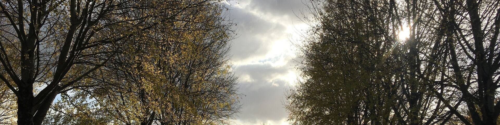 Surrounded by beauty 🧡 #lifeatexpedia