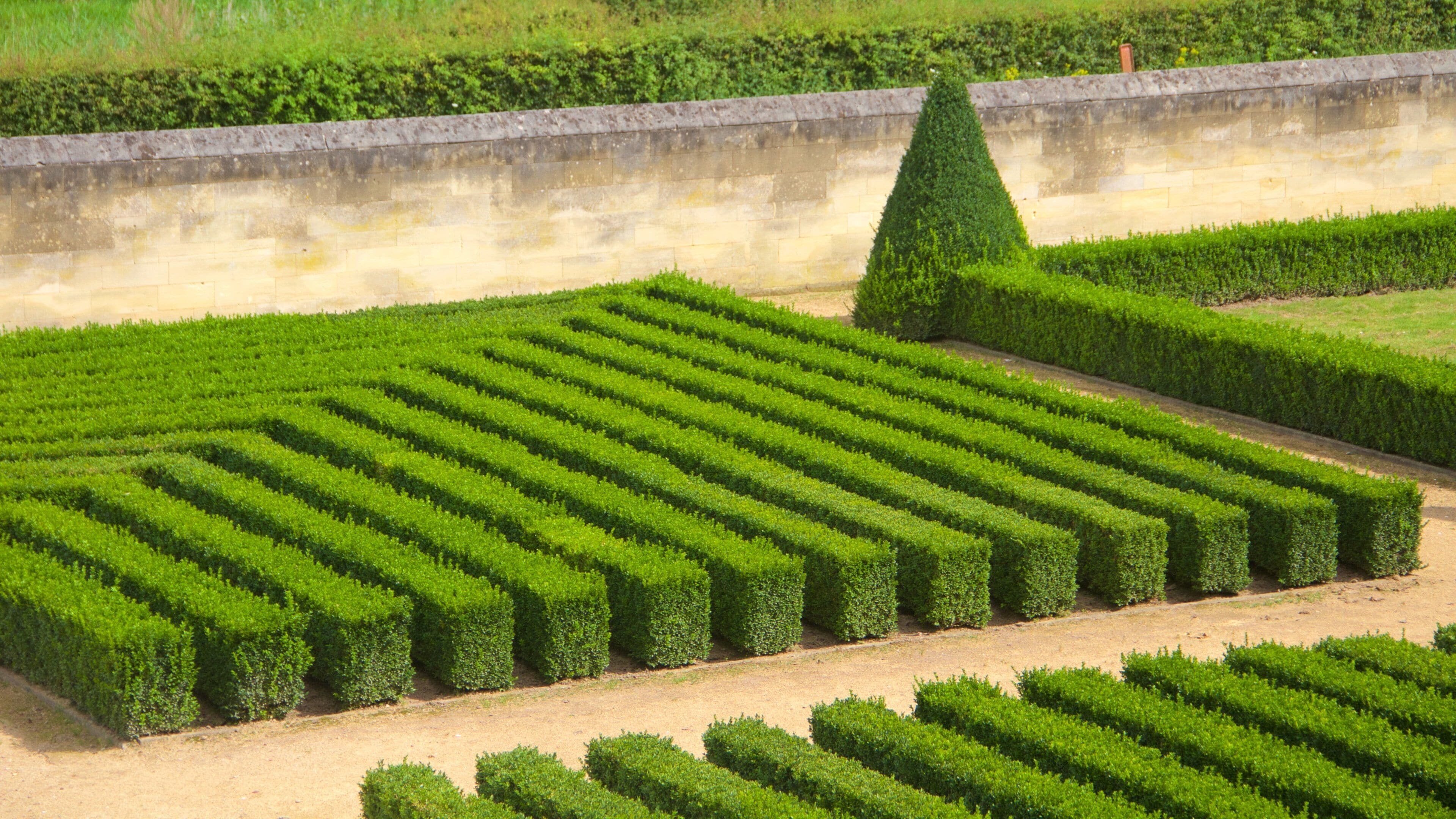 Maastricht showing a park