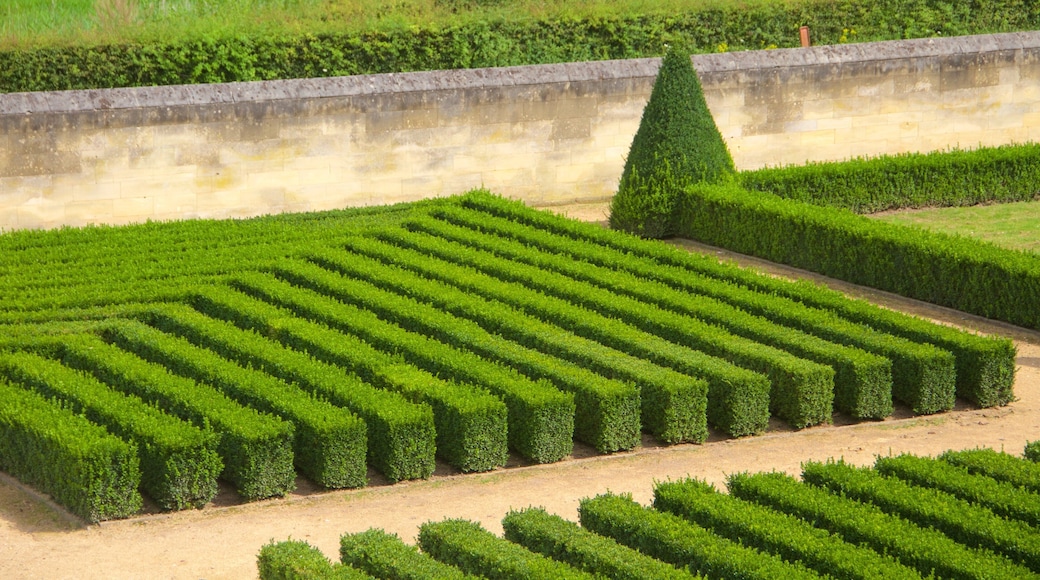 Maastricht showing a park