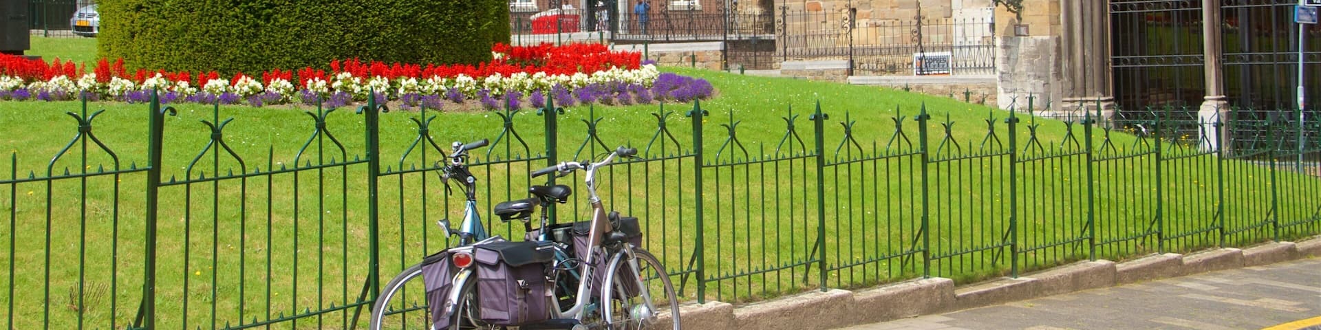Maastricht featuring a park and cycling
