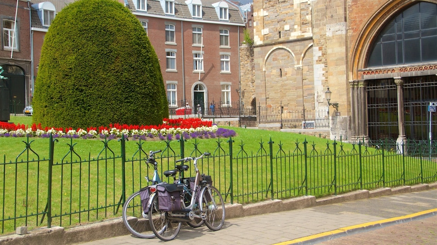 Maastricht featuring a park and cycling