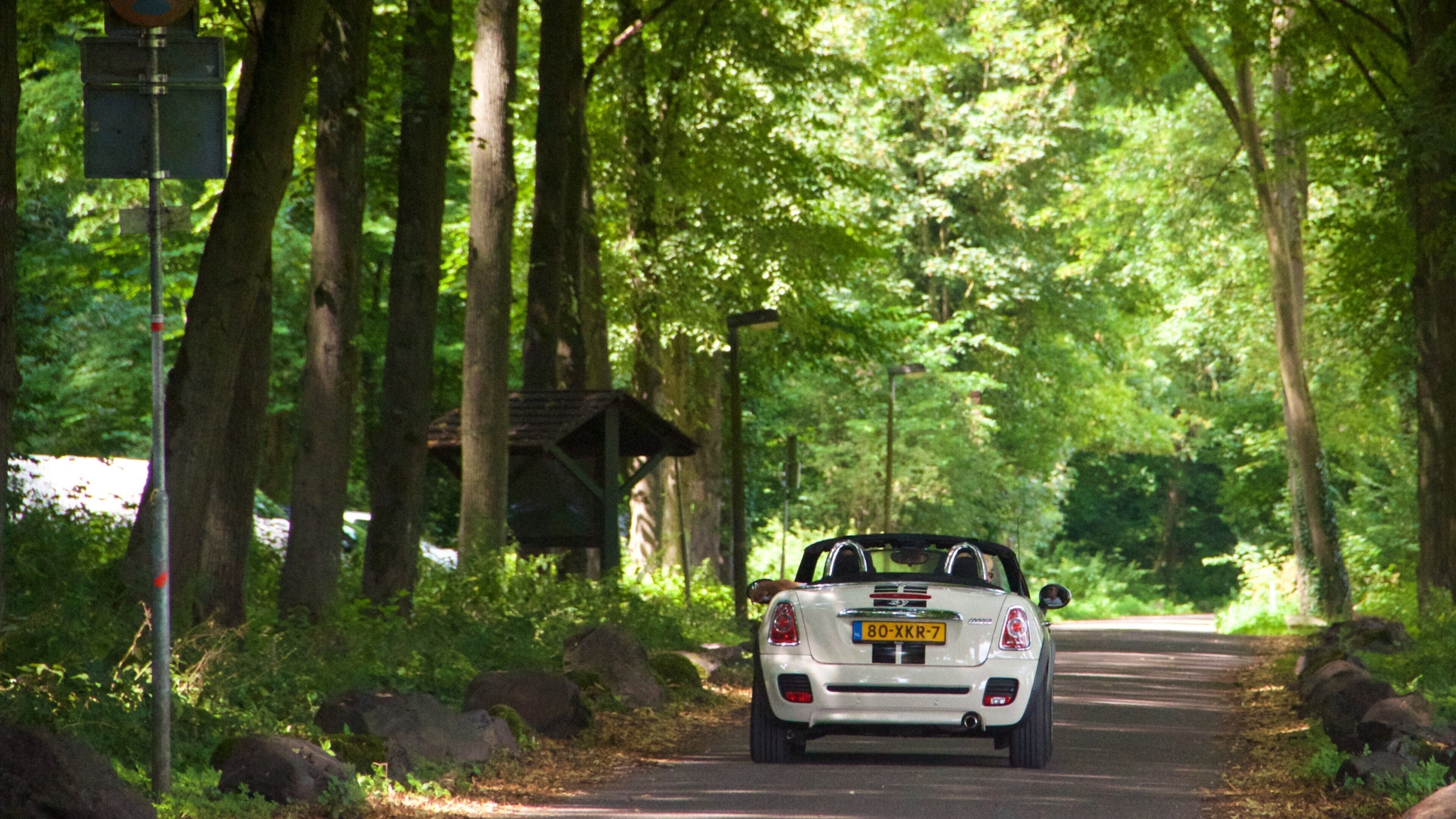 Maastricht featuring forest scenes and touring