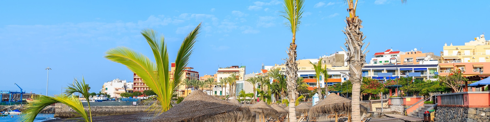 Palm trees on black sand volcanic beach in San Juan port, Tenerife island, Spain, Shutterstock ID 588059969, Purchase Order: SP-1394 HA Batch 3 Part 1, Order Number: , Client/Licensee: HomeAway, Other