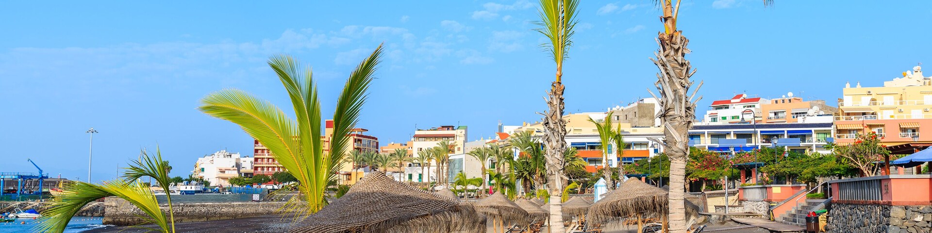 Palm trees on black sand volcanic beach in San Juan port, Tenerife island, Spain, Shutterstock ID 588059969, Purchase Order: SP-1394 HA Batch 3 Part 1, Order Number: , Client/Licensee: HomeAway, Other