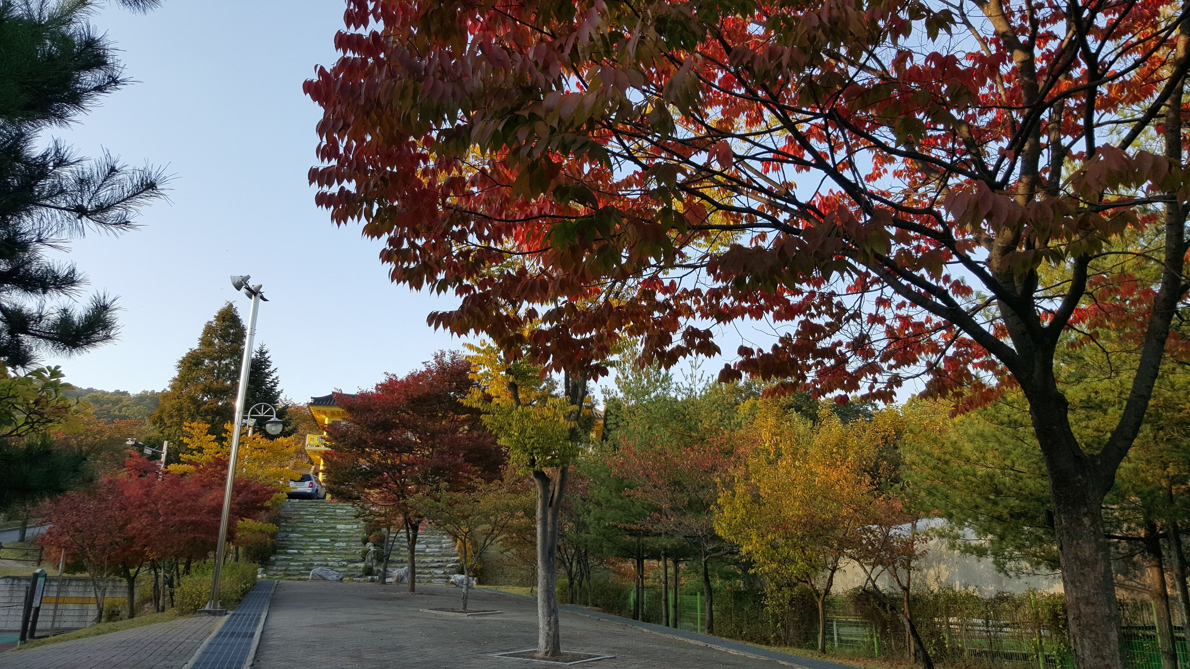 설봉공원 가을 (2)