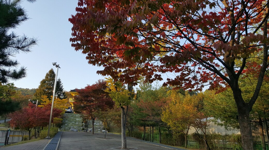 설봉공원 가을 (2)