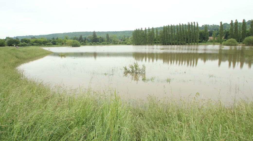 Coupières Basin is a large detention basin arranged in Gif-sur-Yvette in France to control the floods of the Yvette river. It was completely filled during the flood of the Yvette river in May 31, 2016.
