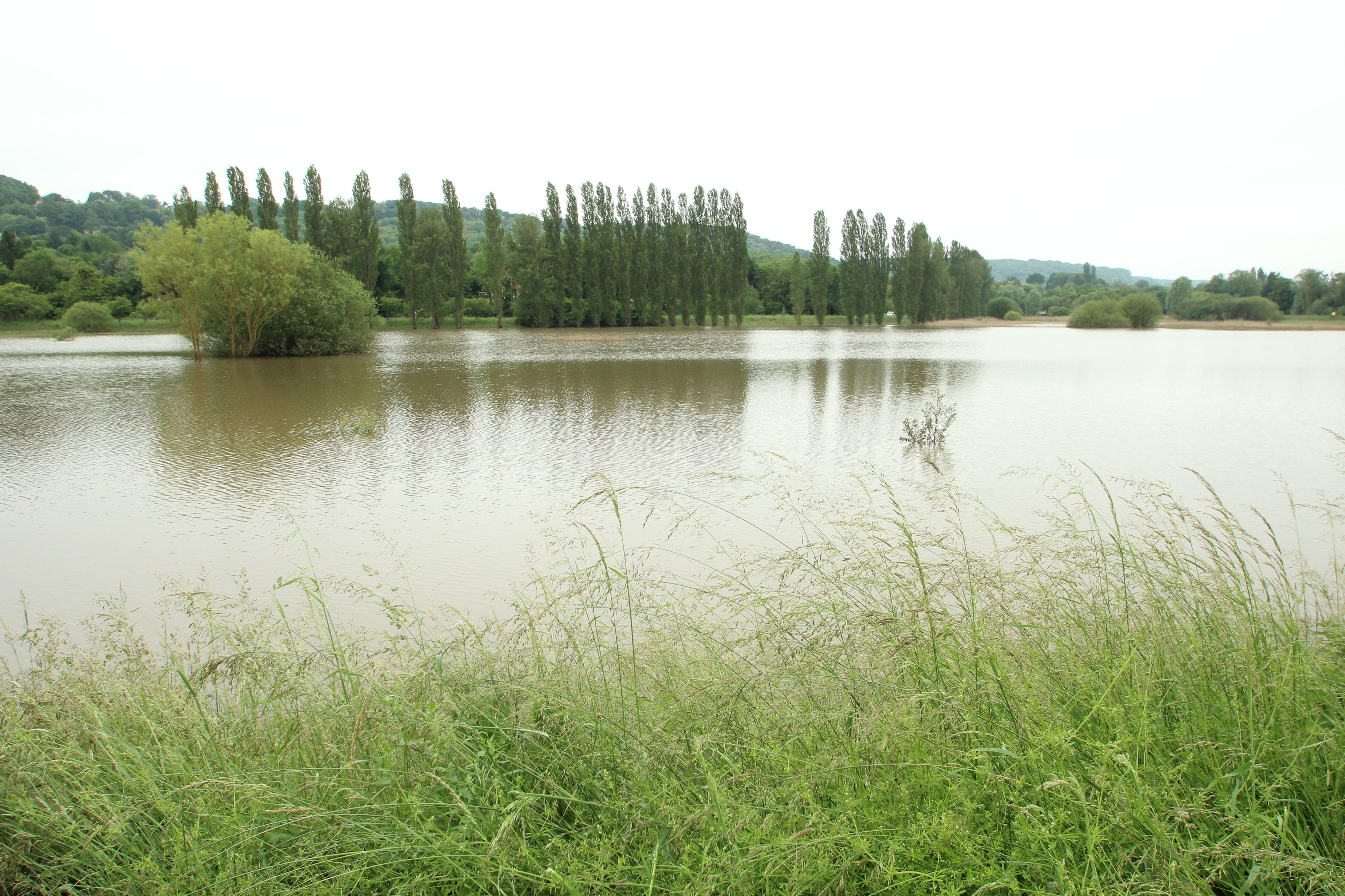 Coupières Basin is a large detention basin arranged in Gif-sur-Yvette in France to control the floods of the Yvette river. It was completely filled during the flood of the Yvette river in May 31, 2016.