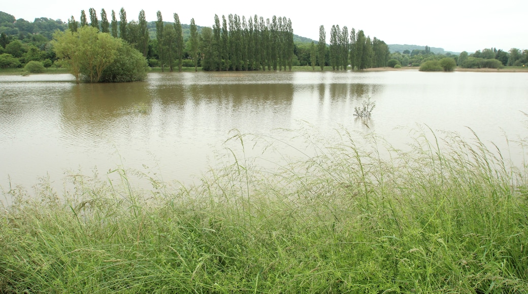 Coupières Basin is a large detention basin arranged in Gif-sur-Yvette in France to control the floods of the Yvette river. It was completely filled during the flood of the Yvette river in May 31, 2016.