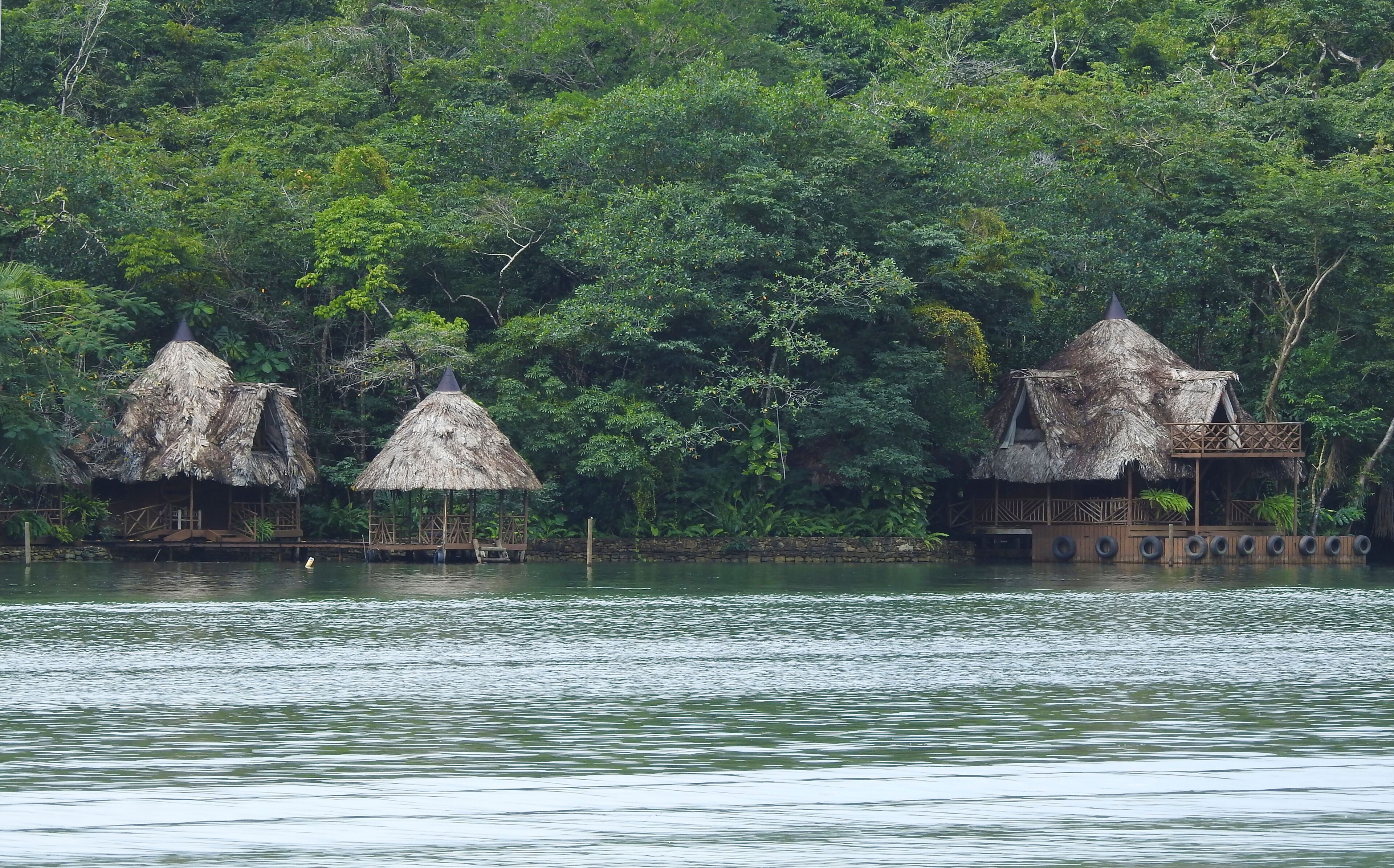 Shore of Rio Dulce, Guatemala