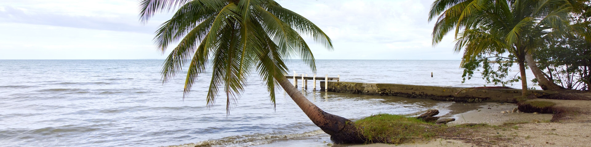 Una playa con palmeras, un muelle de madera y olas oceánicas tranquilas.