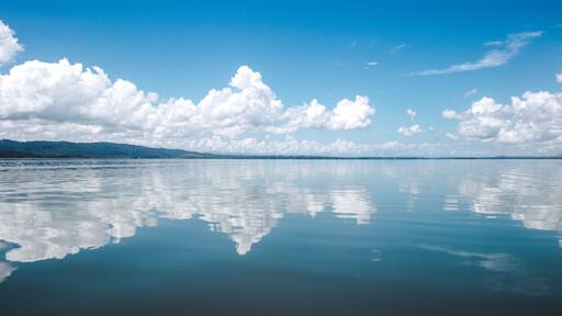 ๋ฆฌ๋น์คํด