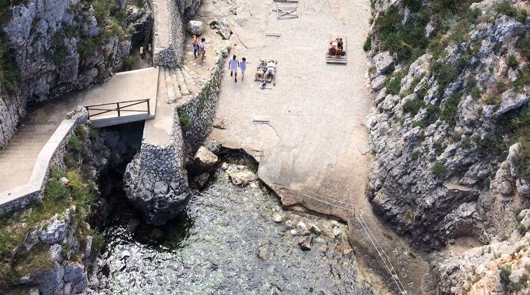 Fab views from this bridge if you've a head for heights!